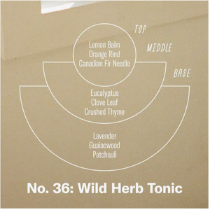 Wild Herb Tonic Candle