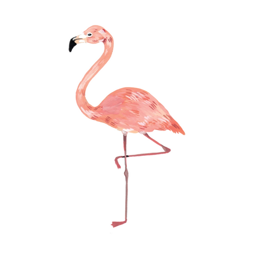 Temporary Tattoo Pairs - Flamingo