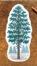 Load image into Gallery viewer, Pine Tree Postcard