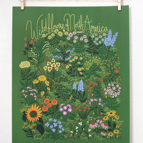 Wildflowers Of North America Print - Green