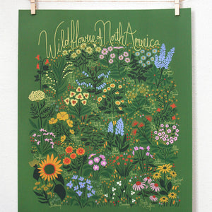 Wildflowers Of North America Print - Green