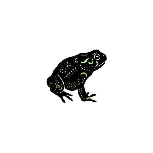 Temporary Tattoo Pairs - Speckled Frog