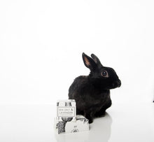 Load image into Gallery viewer, Bath Tablet - Sea Salt + Lavender