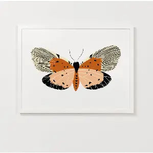 Pink Butterfly Print